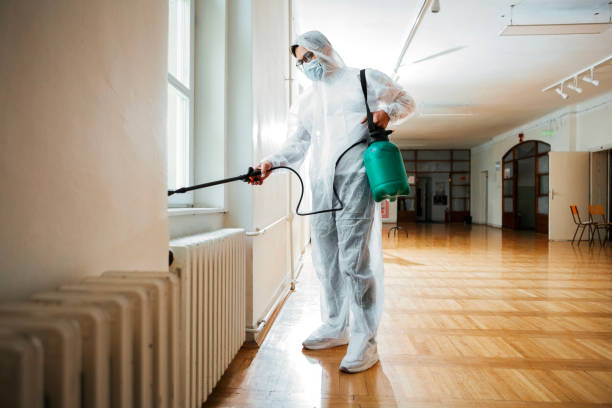 Best Affordable Pest Control Services  in New Boston, OH